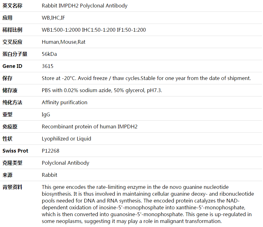 IMPDH2 Antibody,索莱宝,K003930P-50ul