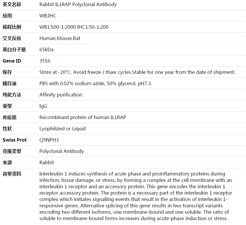 IL1RAP Antibody,索莱宝,K003929P-50ul