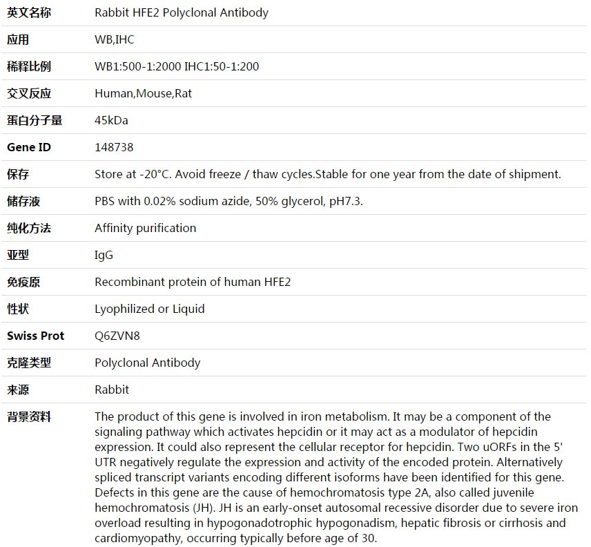 HFE2 Antibody,索莱宝,K003928P-30ul