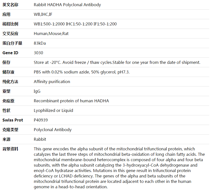 HADHA Antibody,索莱宝,K003926P-50ul