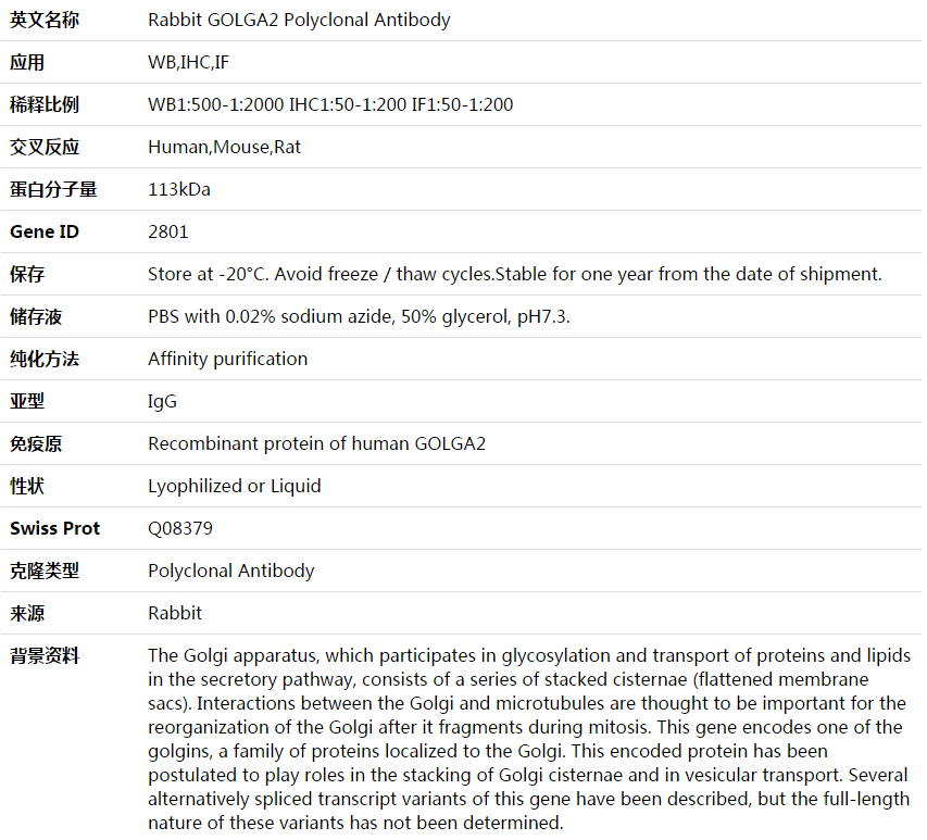 GOLGA2 Antibody,索莱宝,K003925P-100ul