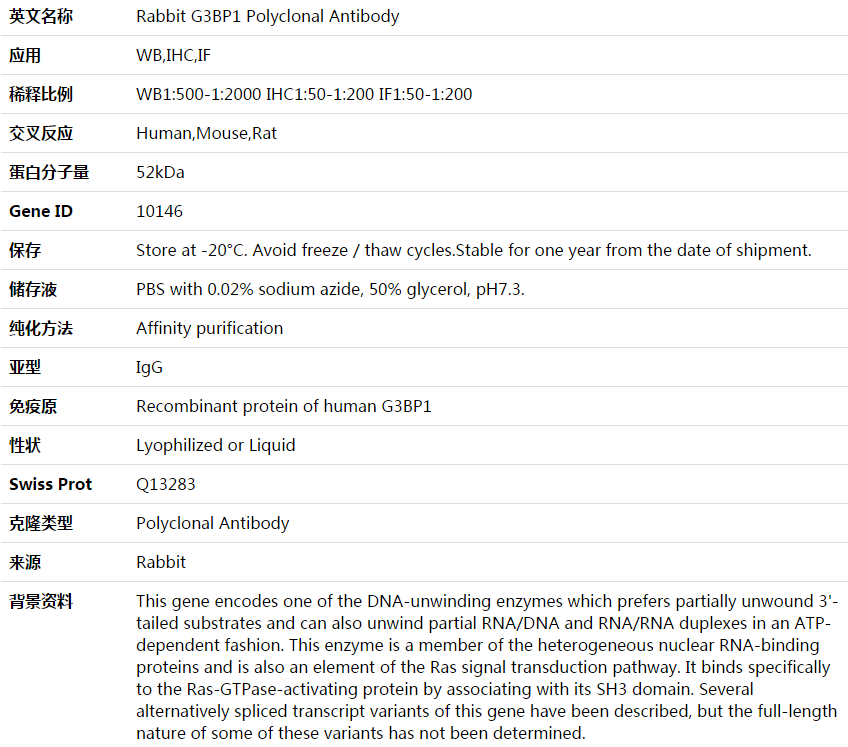 G3BP1 Antibody,索莱宝,K003923P-30ul