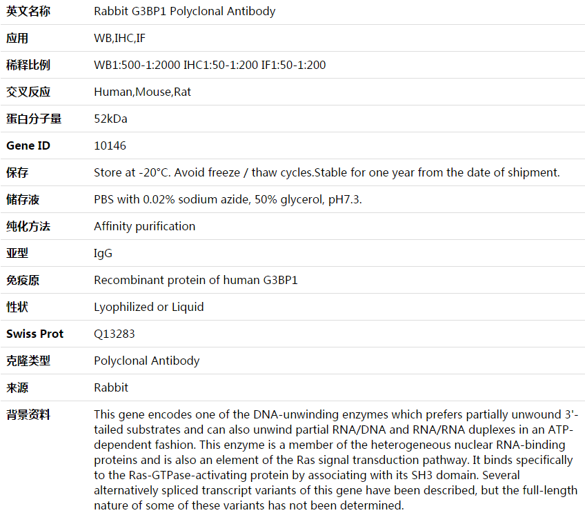 G3BP1 Antibody,索莱宝,K003923P-100ul