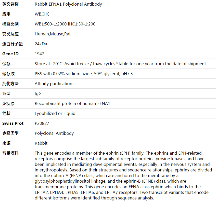 EFNA1 Antibody,索莱宝,K003922P-50ul