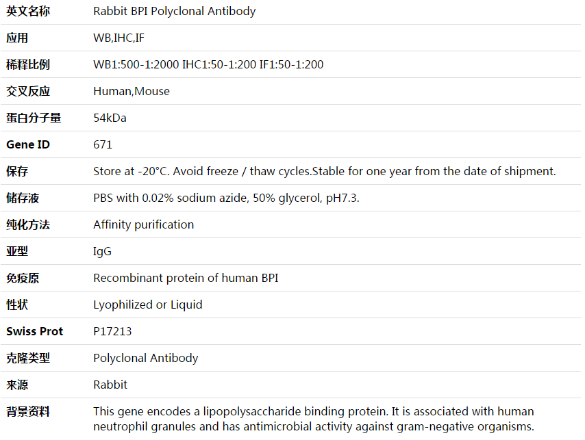 BPI Antibody,索莱宝,K003921P-30ul