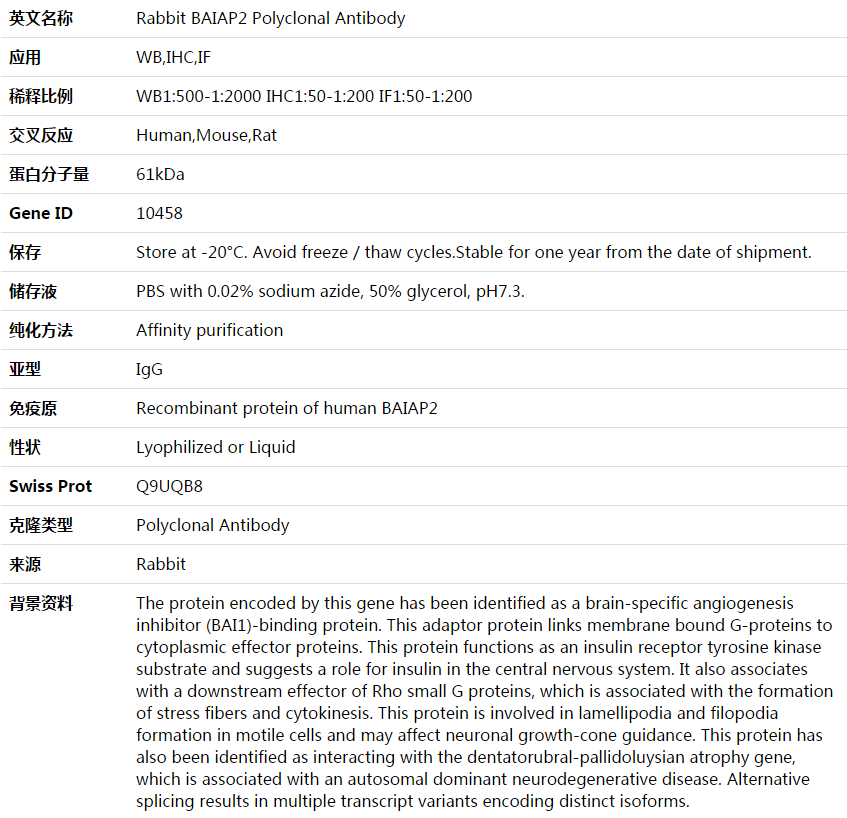 BAIAP2 Antibody,索莱宝,K003920P-50ul