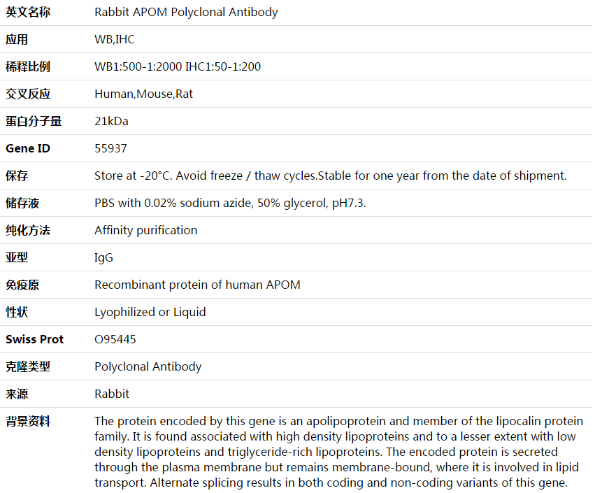 APOM Antibody,索莱宝,K003919P-50ul