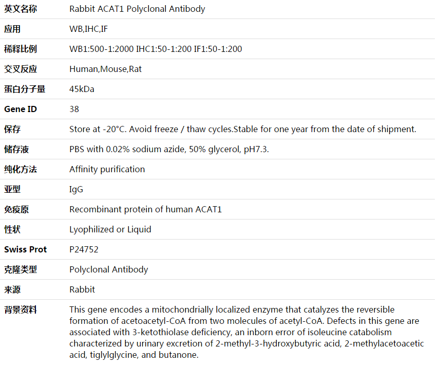 ACAT1 Antibody,索莱宝,K003918P-50ul