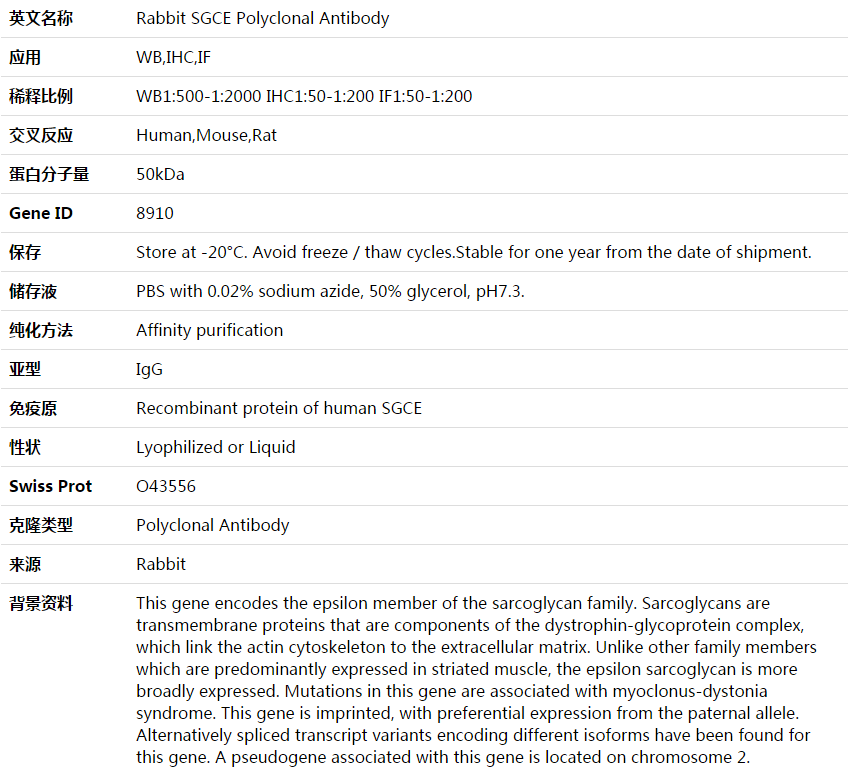 SGCE Antibody,索莱宝,K003915P-30ul