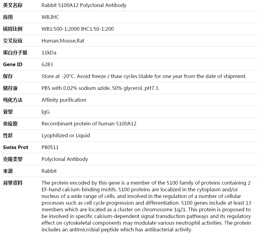 S100A12 Antibody,索莱宝,K003914P-50ul