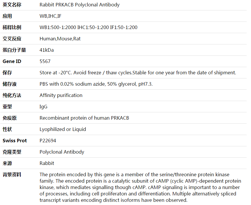 PRKACB Antibody,索莱宝,K003913P-30ul