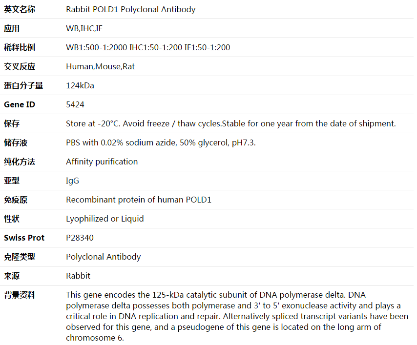 POLD1 Antibody,索莱宝,K003912P-100ul