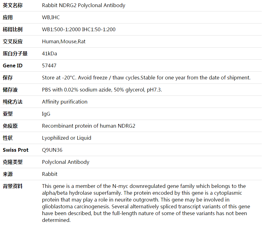 NDRG2 Antibody,索莱宝,K003909P-50ul
