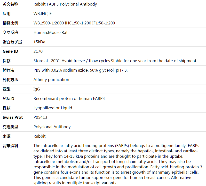 FABP3 Antibody,索莱宝,K003904P-100ul
