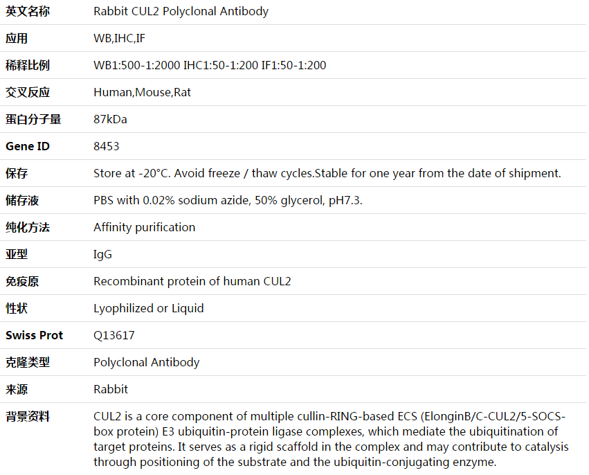 CUL2 Antibody,索莱宝,K003901P-50ul