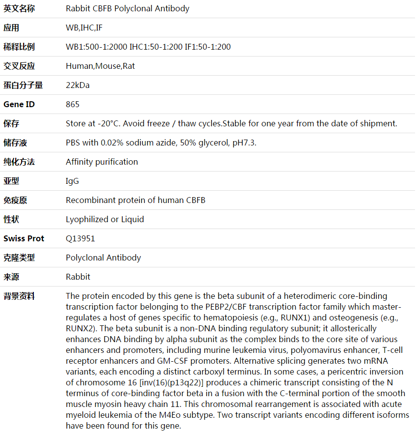 CBFB Antibody,索莱宝,K003899P-50ul