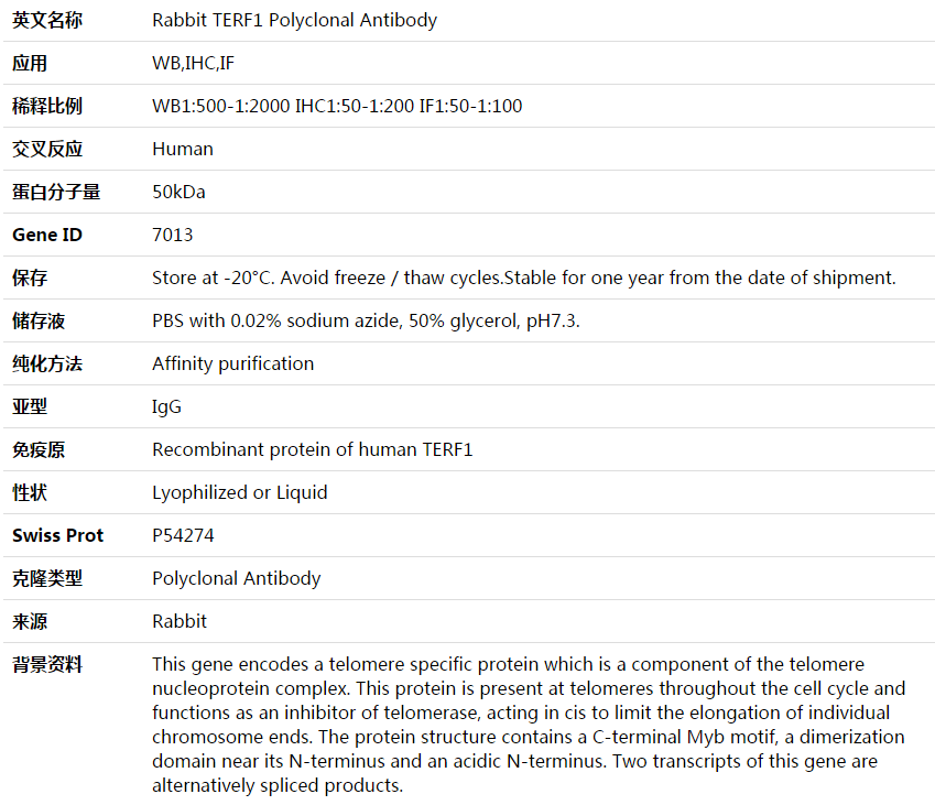 TERF1 Antibody,索莱宝,K003892P-100ul
