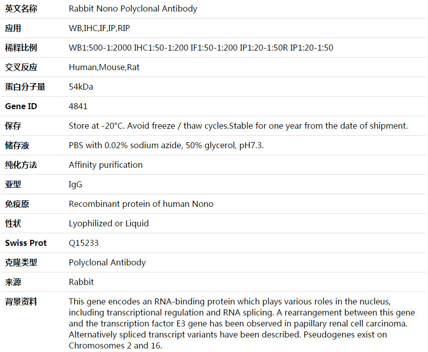 Nono Antibody,索莱宝,K003889P-50ul