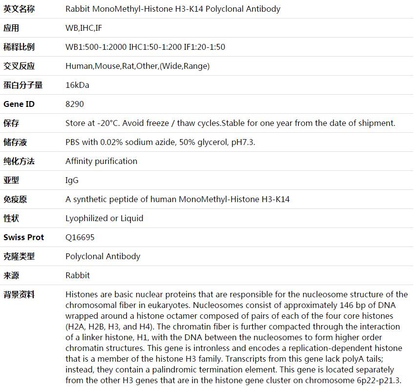 MonoMethyl-Histone H3-K14 Antibody,索莱宝,K003886P-100ul