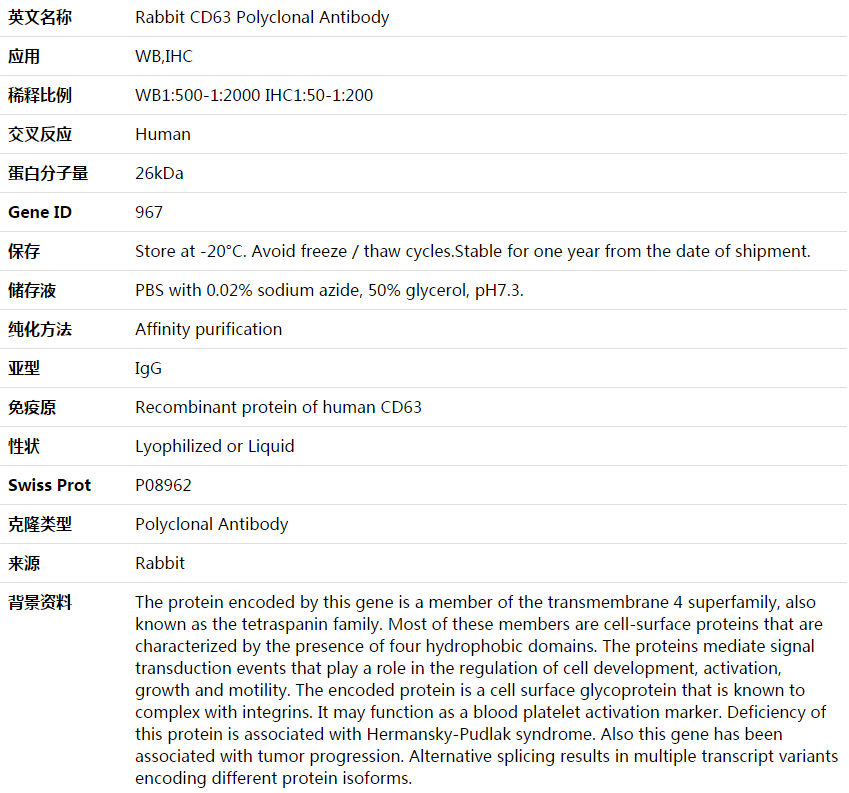 CD63 Antibody,索莱宝,K003883P-100ul