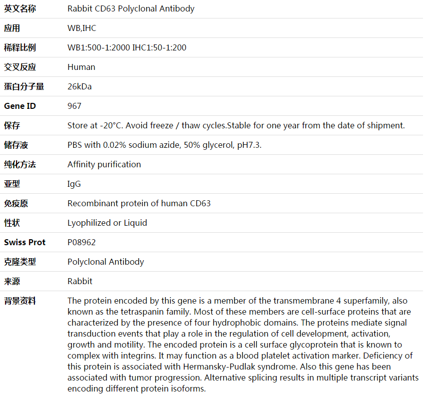 CD63 Antibody,索莱宝,K003883P-50ul