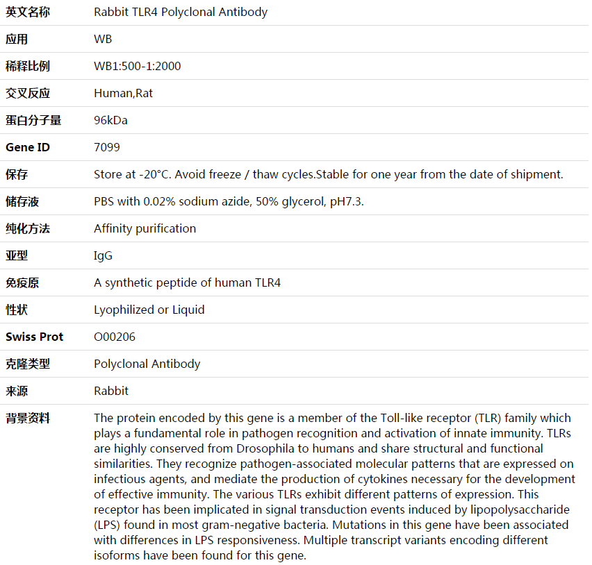 TLR4 Antibody,索莱宝,K003881P-100ul