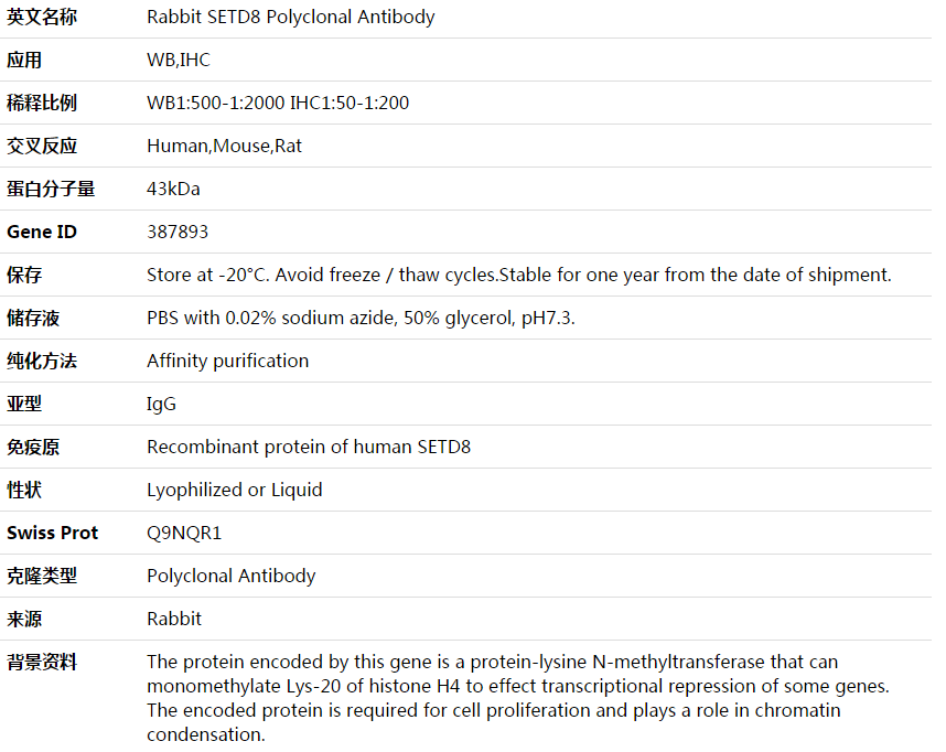 SETD8 Antibody,索莱宝,K003880P-50ul