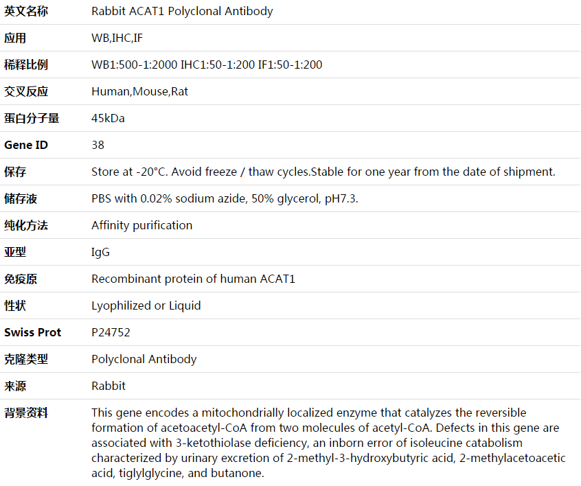 ACAT1 Antibody,索莱宝,K003918P-50ul