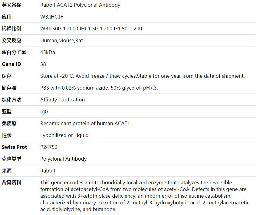 ACAT1 Antibody,索莱宝,K003918P-100ul