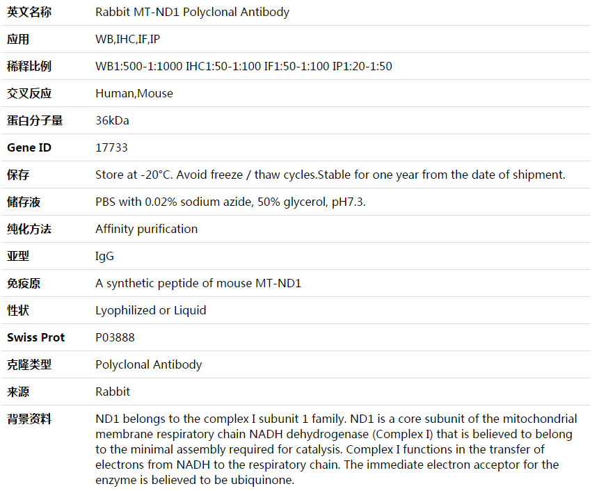MT-ND1 Antibody,索莱宝,K003877P-50ul