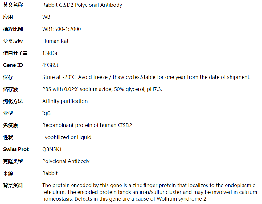 CISD2 Antibody,索莱宝,K003875P-50ul