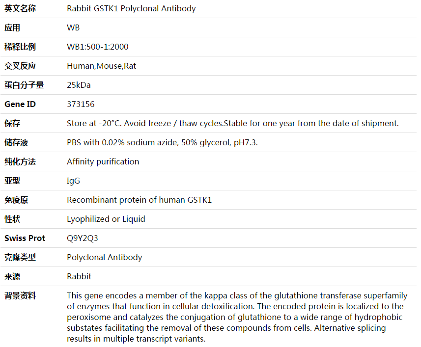 GSTK1 Antibody,索莱宝,K003874P-50ul