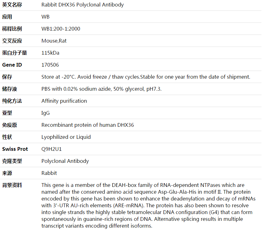 DHX36 Antibody,索莱宝,K003873P-100ul