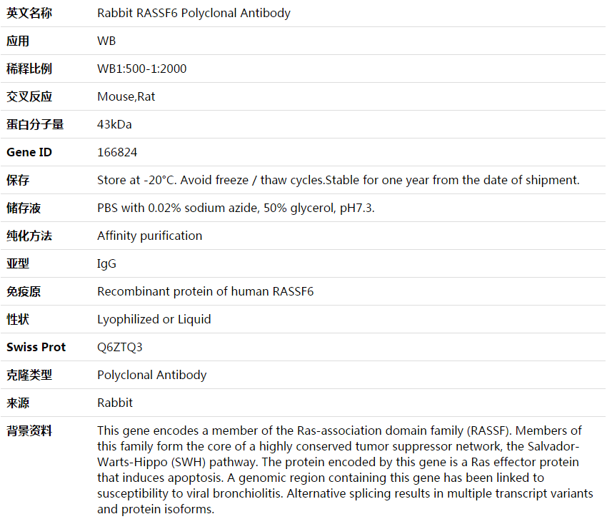 RASSF6 Antibody,索莱宝,K003872P-50ul