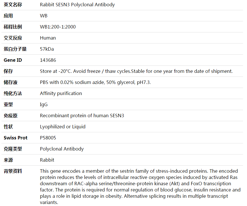SESN3 Antibody,索莱宝,K003871P-100ul