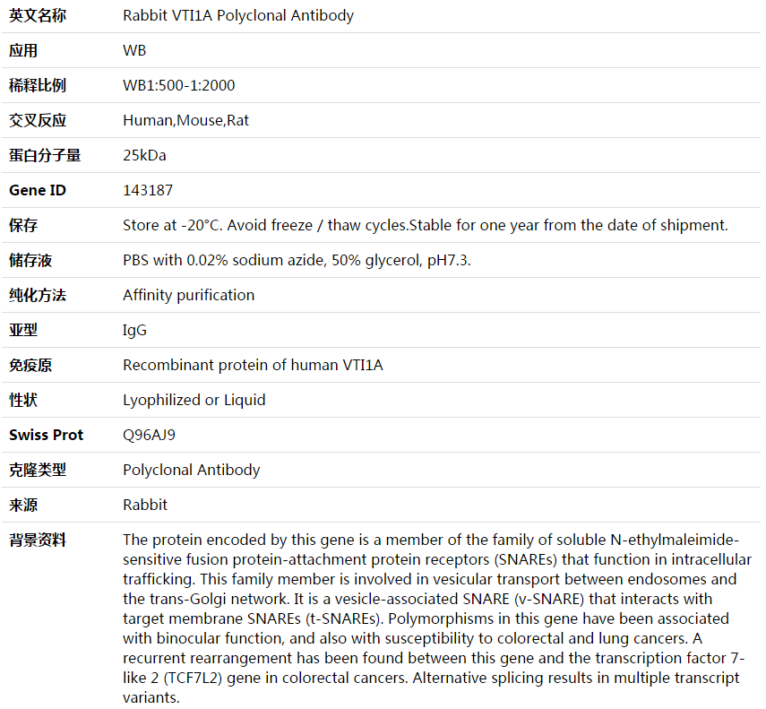 VTI1A Antibody,索莱宝,K003870P-100ul