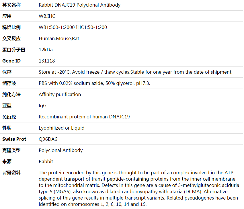 DNAJC19 Antibody,索莱宝,K003868P-100ul