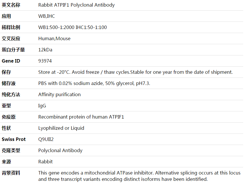 ATPIF1 Antibody,索莱宝,K003864P-100ul