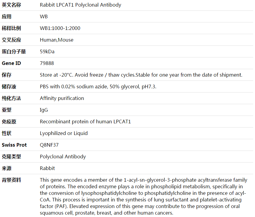 LPCAT1 Antibody,索莱宝,K003859P-50ul