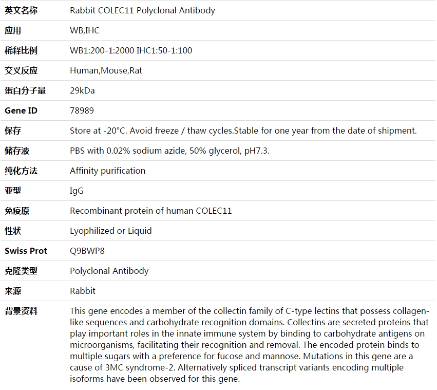 COLEC11 Antibody,索莱宝,K003857P-50ul