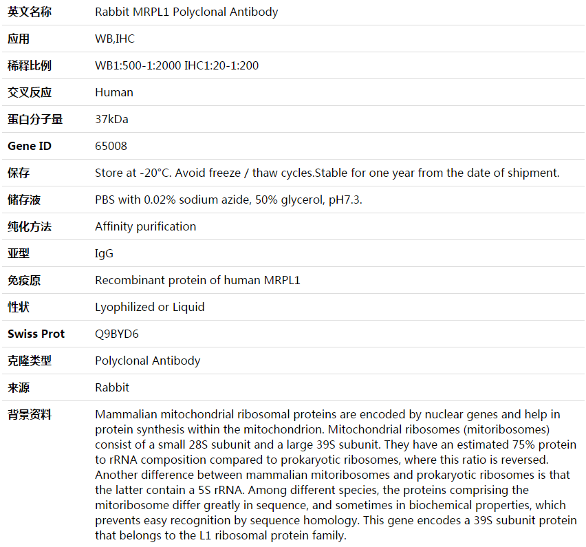 MRPL1 Antibody,索莱宝,K003856P-100ul