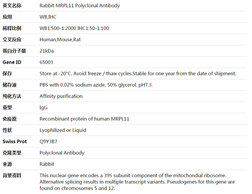 MRPL11 Antibody,索莱宝,K003855P-100ul