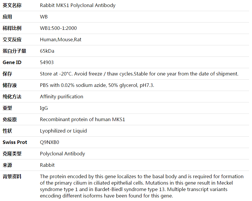 MKS1 Antibody,索莱宝,K003848P-50ul