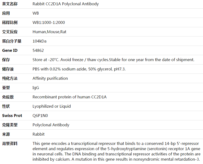 CC2D1A Antibody,索莱宝,K003847P-100ul