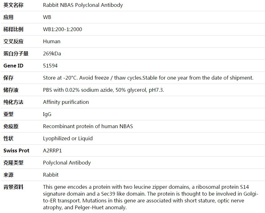 NBAS Antibody,索莱宝,K003842P-30ul