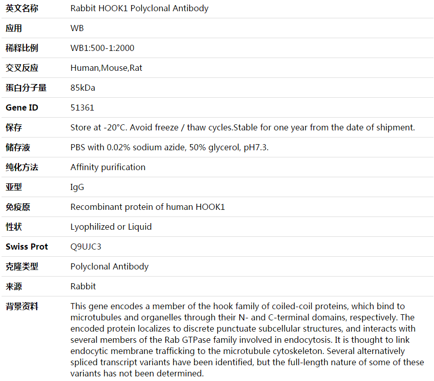 HOOK1 Antibody,索莱宝,K003840P-100ul