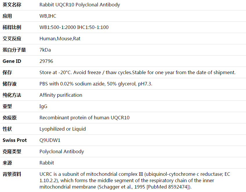 UQCR10 Antibody,索莱宝,K003837P-100ul