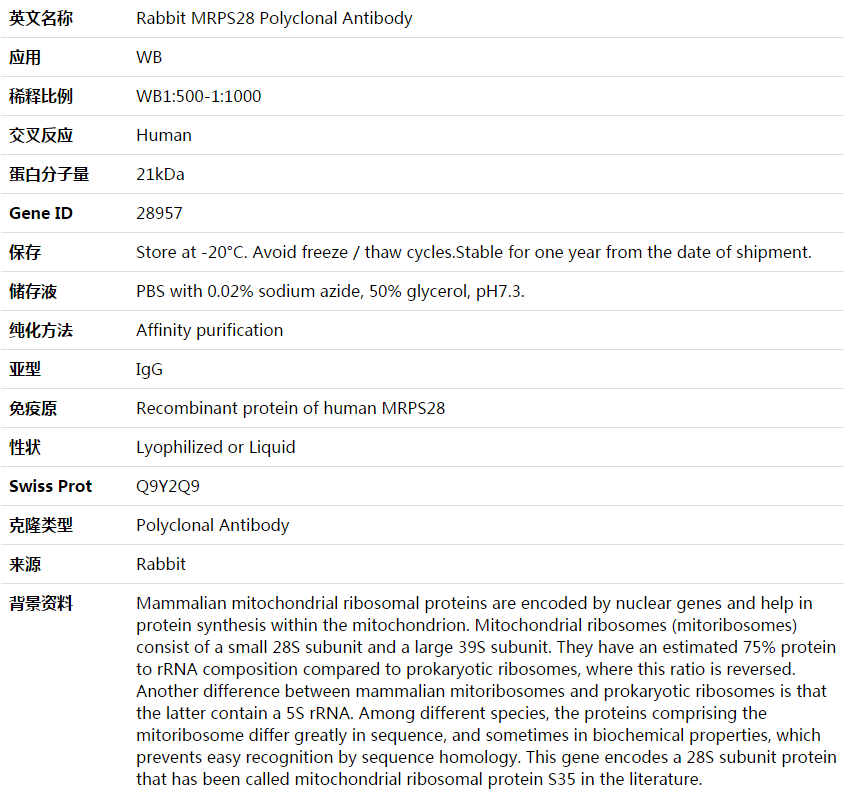 MRPS28 Antibody,索莱宝,K003835P-50ul