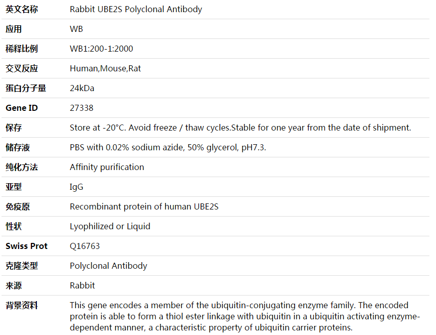 UBE2S Antibody,索莱宝,K003834P-100ul