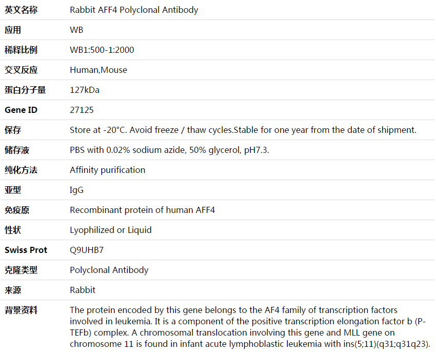 AFF4 Antibody,索莱宝,K003833P-50ul